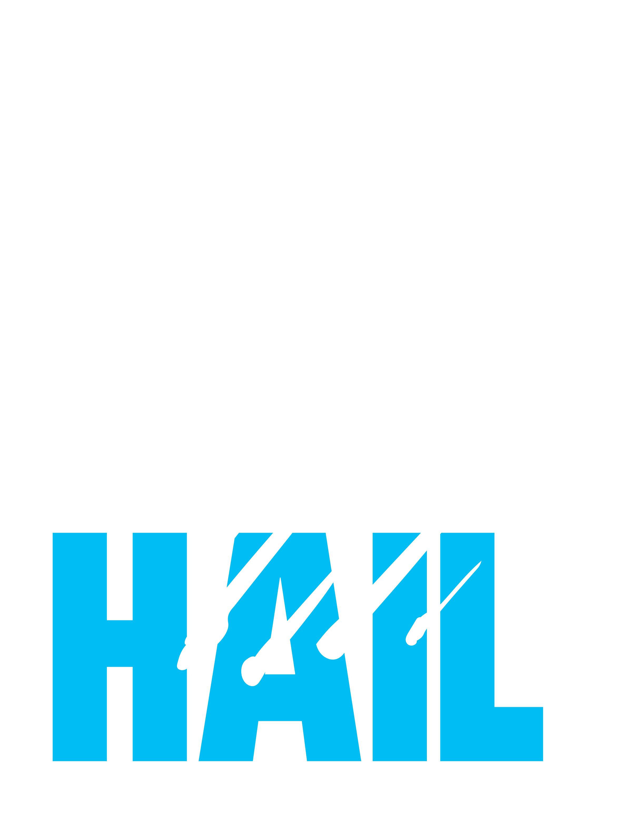 Sick of Hail - Logo